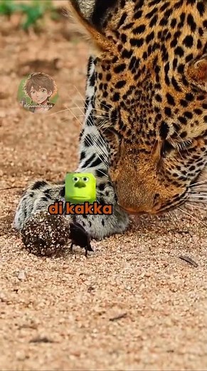Vita da animali 🐆 EP. 100