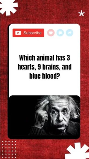Which Animal Has 3 Hearts, 9 Brains & Blue Blood? 🧠💙 (99% Fail This!) #youtubeshorts #currentaffairs