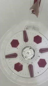 Whirlpool semi automatic washing machine gearbox replace and testing