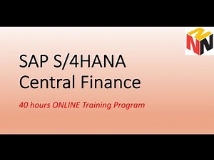 SAP Central Finance ONLINE Training session 1