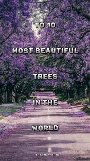 Top 10 most beautiful trees in the world #tree #viral #top10 #nature