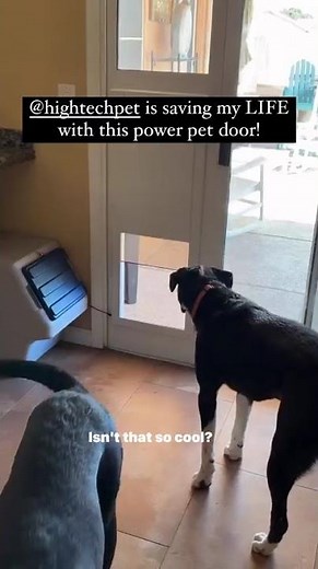 This Smart Pet Door Will Change Your Life!