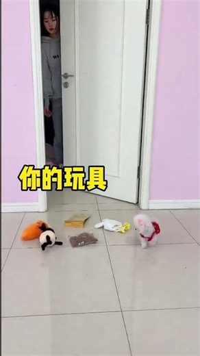 #茶杯犬 #茶杯博美 #博美俊介 茶杯犬品种 / 茶杯幼犬 🐕 #短视频 #狗狗 #玩具 #可爱 #幼犬 #可爱幼犬 #可爱小狗 #幼犬视频