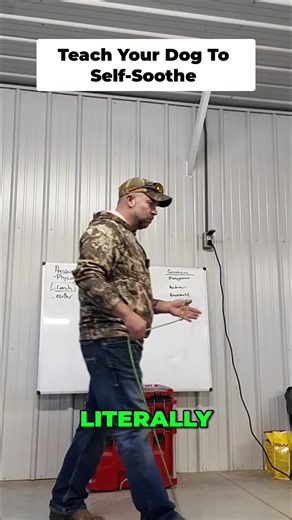 How to Teach Your Dog to Self-Soothe