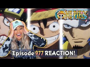 KID, LUFFY AND LAW BRING THE HEAT! 🔥To Onigashima! | One Piece Episode 977 Reaction + Review!