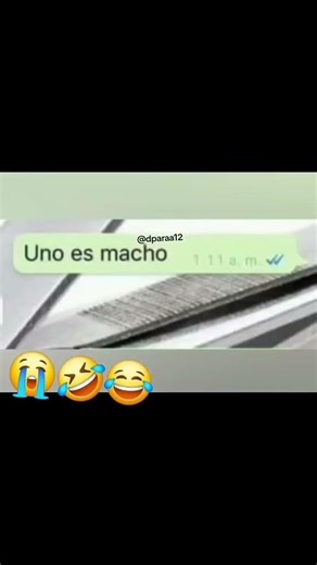 que raza son we #flypシ #yosoydelos7mil #humor