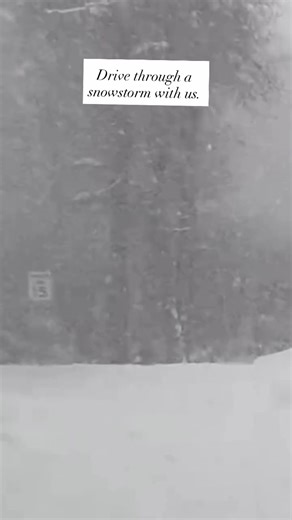 Snow days. 📍T-Lazy-7 Ranch Aspen Colorado | Snow | Colorado Winter #tlazy7ranch #aspen #rockymountains #ranchlife #snow