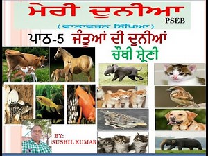 Class 4 EVS Lesson 5 Jantua di dunia ( ਜੰਤੂਆਂ ਦੀ ਦੁਨੀਆਂ ) with solved excercise BY : SUSHIL KUMAR