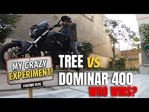 How Much Force Does it Take to UPROOT a Tree? (Insane Experiment)