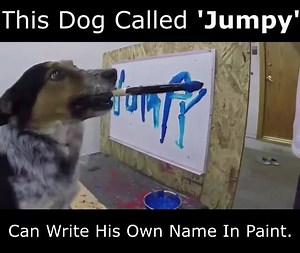 7.6M views · 142K shares | Credits: https://youtu.be/m3dec8EOp6A | Animal Magazine | Facebook