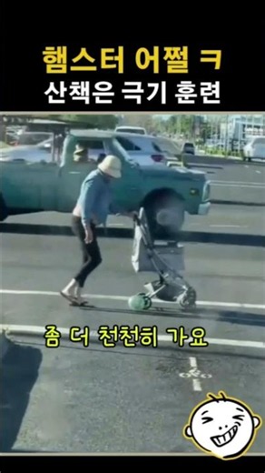 Walking is endurance training for the hamster 😂😂😂