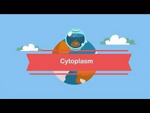 Cytoplasm Video Lecture | Biology Class 11 - NEET