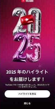 b213 の2025YouTubeハイライト