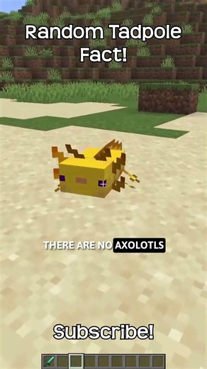 Tadpoles And Axolotls Don't Get Along In Minecraft!