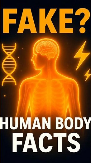 3 Amazing Human Body Facts You Won't Believe!