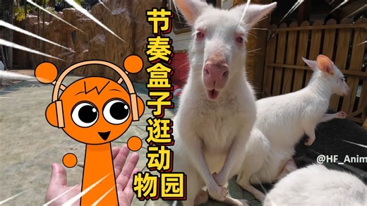 sprunki节奏盒子逛动物园！奥伦竟然喜欢小动物啊