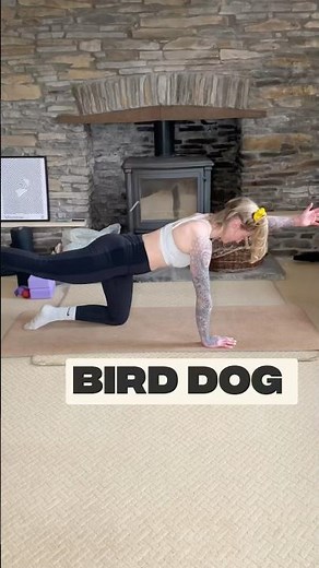 Bird Dog Exercise | Stabilize Lower Back