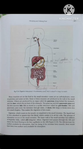 *Basic Science Class 7 CH 9 OBTAINING AND UTILISING FOOD.*Don't forget to Like & Subscribe #M_ Azmi#