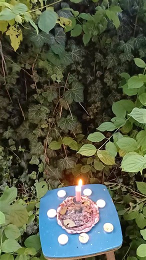 Kovács Csilla on Reels