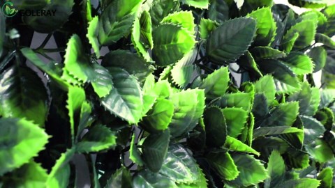 Expandable Faux Ivy Privacy Fence Screen Greenery Wall Backdrop Grass Panels Retractable Artificial Boxwood Hedges Fake Fencing for Outdoor Indoor Décoration, Ficus, 3 Pieces