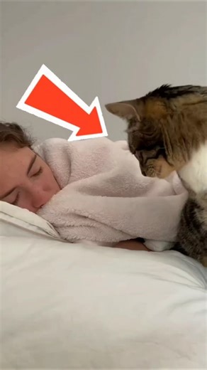 “If Your Cat Sleeps Next to You… This Is Why 😳”