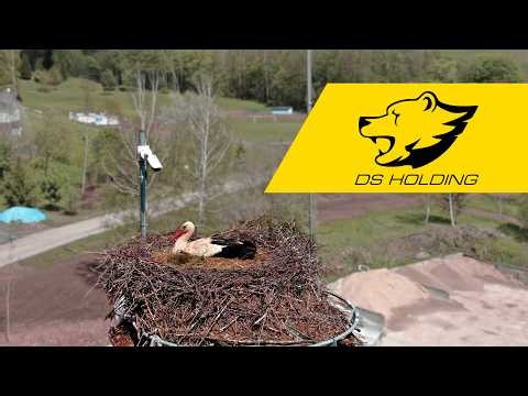 Čápi Libštát | živě z čapího hnízda | DS Holding