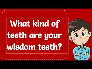 What kind of teeth are your wisdom teeth? Explained
