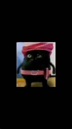 JDK ⊃ JRE ⊃ JVM #java面试