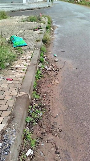 Never Give Up: The Power of Hard Work