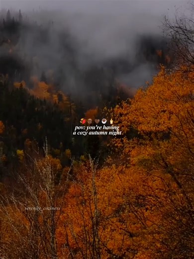 Can't wait to feel this cozy and autumnal again 🍂🕯️🤎 #fyp #cozyvibes #cozycore #cozyfall #fall #autumn #autumnvibes #fallaesthetic #serenitycoziness