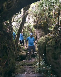 2.4K reactions · 359 shares | Experience Seychelles, Nature's Sanctuary | The Seychelles Islands | Facebook