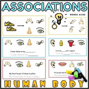 Association Task Cards Center Station Body