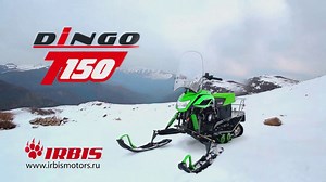 Russian snowmobile Irbis Dingo T150.