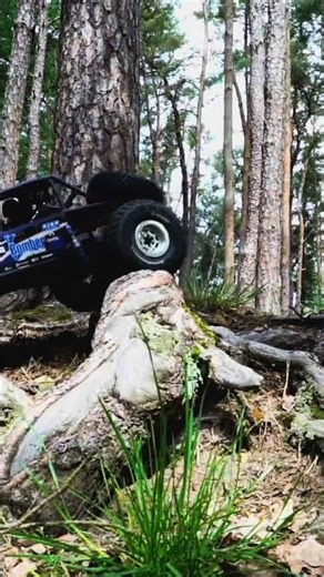 Axial RR10 Bomber #axial #rccar #rccrawler #offroading