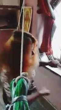 Funny 😁, neck hanging dance by locked 🔐 beautiful hair girl
