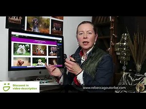 Sticky Header SmugMug Photography Website