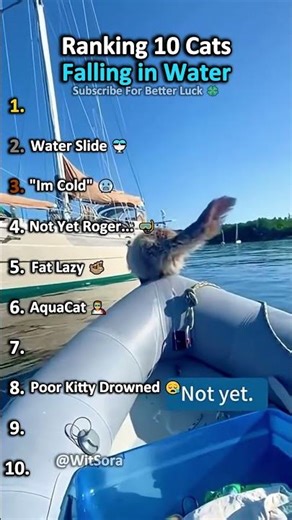 Top 10 Funny Cats Falling In Water 🌊😹