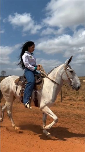 beautiful lady riding a mule
