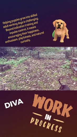 11 reactions |  Raising Working Dogs Starts With Raising Happy...