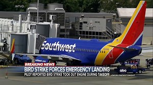 108K views · 1.4K reactions | A Southwest Airlines flight from Raleigh to Fort Lauderdale was forced to make an emergency landing after the pilot reported a bird strike into the left engine just after the plane took off. Whit Johnson reports. https://trib.al/H9UFQij | ABC World News Tonight with David Muir | Facebook