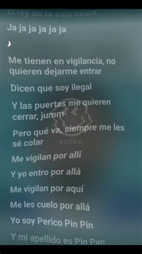 Periquito Pin Pin: Salsa Vibrante y Letras