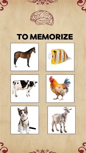 "Only 1% Pass This Intuition Test 🔮 | Are You Gifted?".