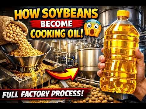 How Soybeans Become Cooking Oil 😲 | Full Factory Process Revealed