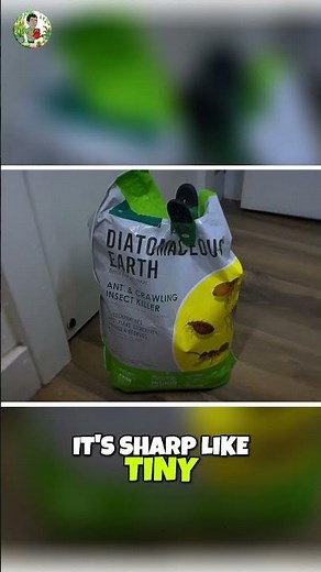 Diatomaceous Earth: The Secret Pest Killer EVERY Plant Parent Needs 🪳💥
