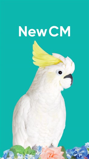 BASE（ベイス）公式⛺️｜ネットショップ作成サービス on Instagram: "新テレビCMは、もうチェックした❓ ━━━━━━━━━━━━━━ 👑「ベイッス🎶」 🦜「もう一回っ」 👑「ベイッス↑」 🦜「…」 くり返し歌いかける徹子さんと オウムがつくりだす異空間ーー。 ラストの掛け合いにも注目です👀✨️ ━━━━━━━━━━━━━━ #ネットでお店を開くならBASE ━━━━━━━━━━━━━━ #黒柳徹子 #オウム #CM #テレビCM #BASEec #ネットショップ"