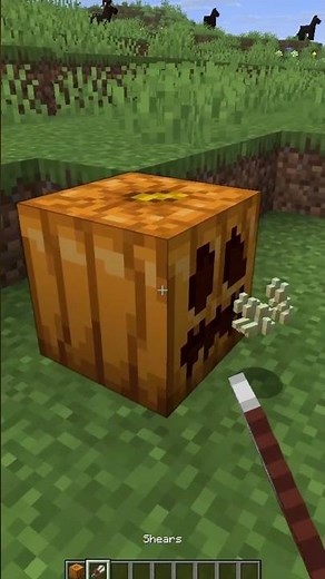 How to Make a Carved Pumpkin in Minecraft
