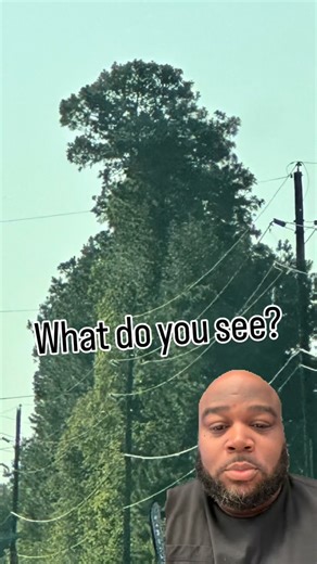 Larry Cothran | Comedian on Instagram: "They say if your left brain is operating you see a turtle but if you’re right, brain is operating you see a rabbit. #Perception #Trucker #AmazonDeals"