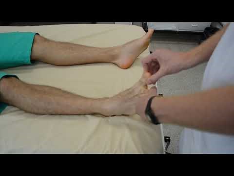 Sensibilidade Proprioceptiva