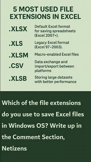 File Extensions in MS Excel