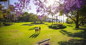 Where to see jacarandas in Sydney this spring